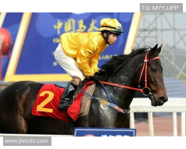 成都足球队在全国速度排行榜中荣登第四名引发热议