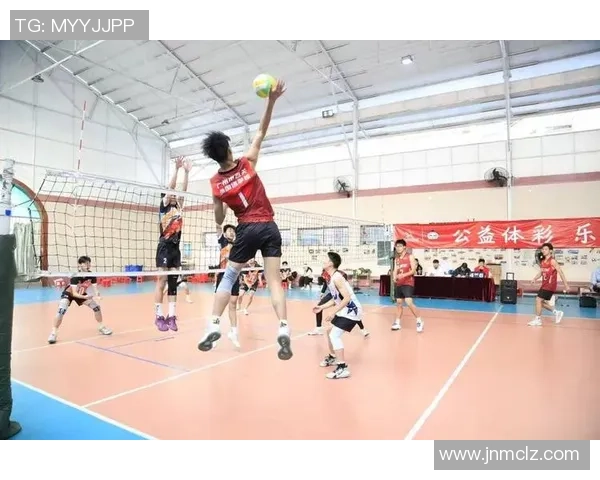 广州排球队的精神风貌与团队意识深度剖析