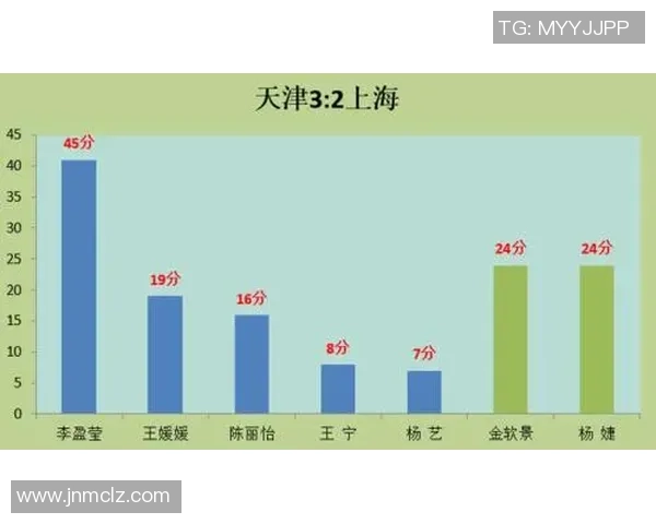 南京排球队实力深度解析与对比分析报告