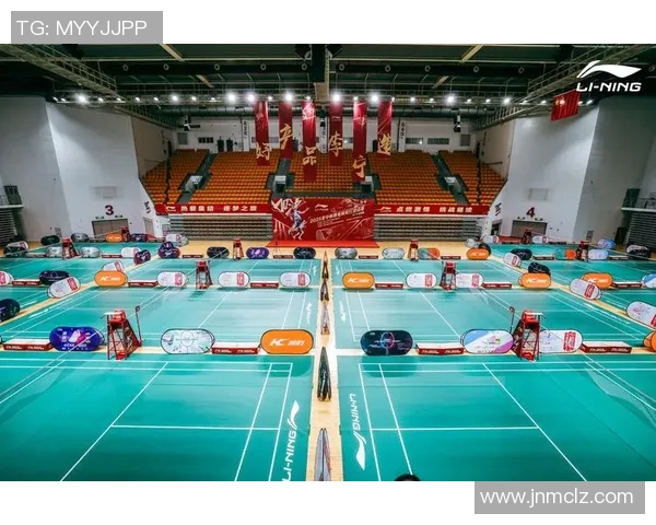 南京羽毛球队的崛起与发展：探索羽毛球运动的力量与魅力