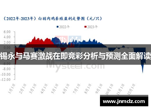 锡永与马赛激战在即竞彩分析与预测全面解读
